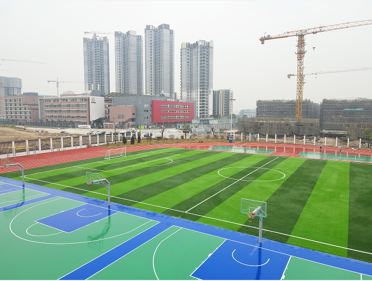 衡阳市南华小学.png